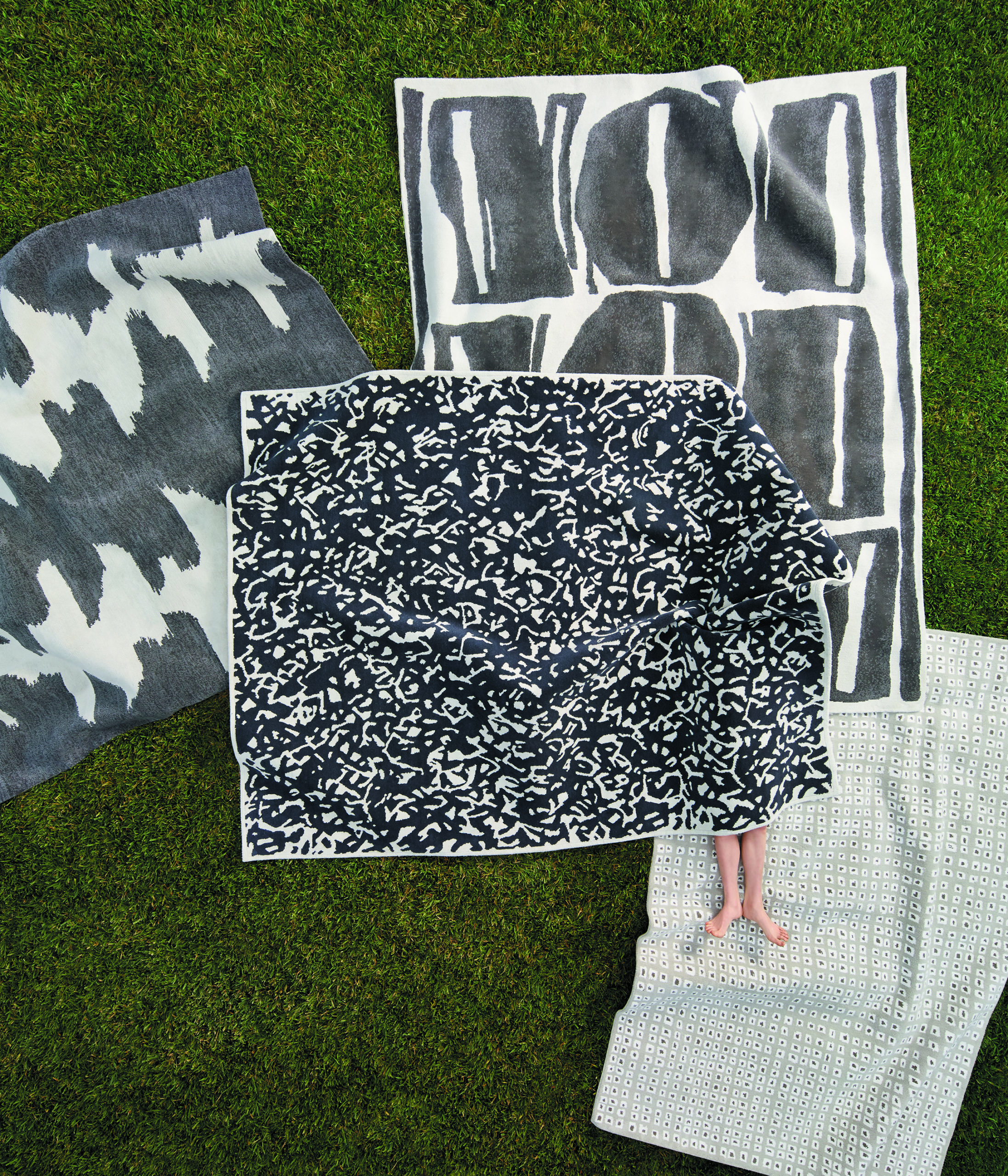 Porter-Teleo Rug collection