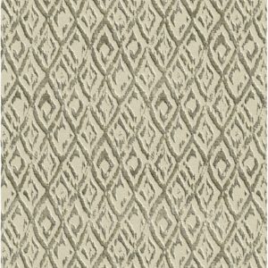 Shadow Play in Dirty Martini