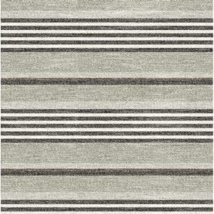 Trailblazer in Pumice