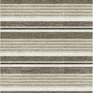 Trailblazer in Big Bend