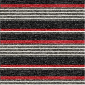 Trailblazer in Red Rock