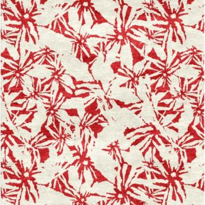 Outburst in Geranium