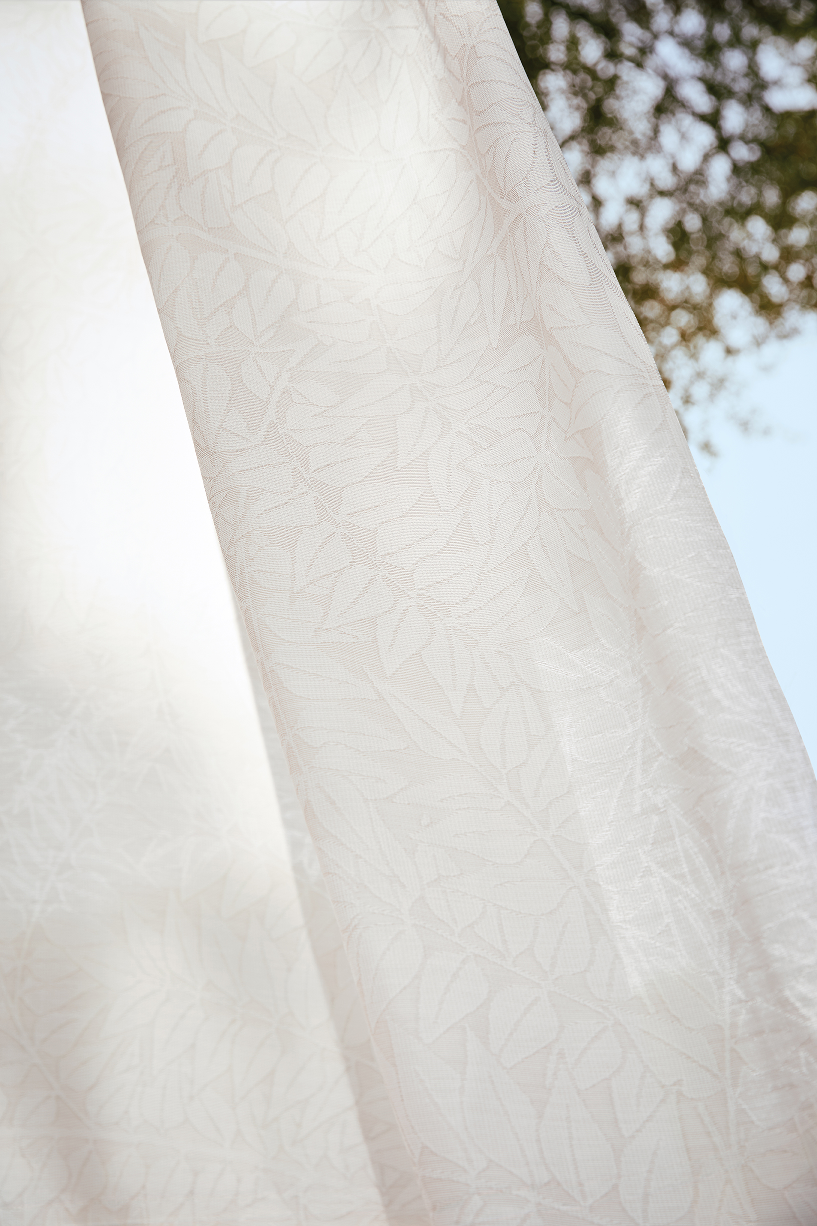 Perennials Fabric blowing in the breeze