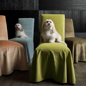 C'est La Vie Dogs in Chair