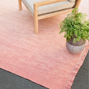 Fade Away Rug in Desert Rose with Chair and Plant