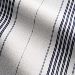 Canal Stripe in Chambray