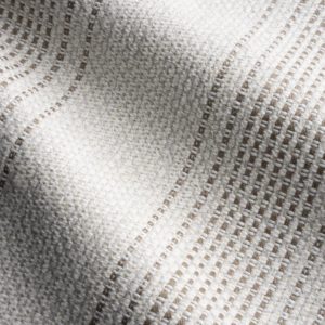 Rugged Stripe in White Sands