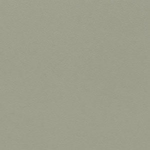 Powder coat in Putty.