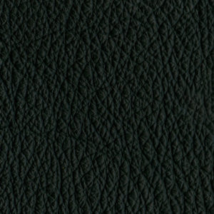 Outdoor Leather in Carbon.