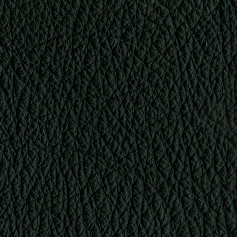 Outdoor Leather in Carbon.