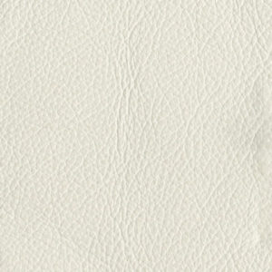 Outdoor Leather in Fog.