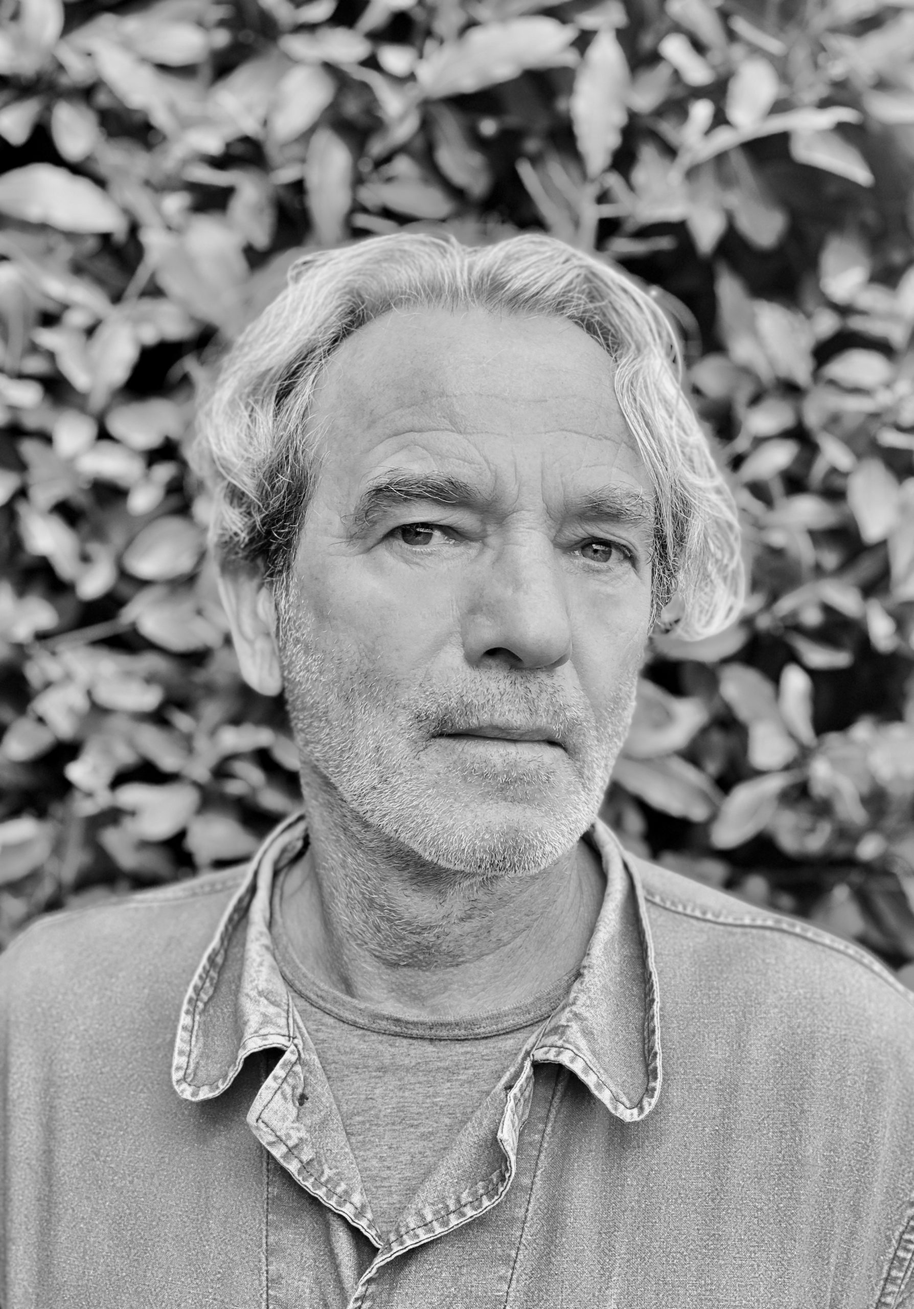 Eric Schmitt Perennials and Sutherland