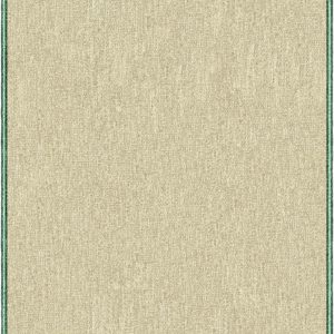 FW248-802 Playa Stripe Cosmico 12'X9' (Visualization)