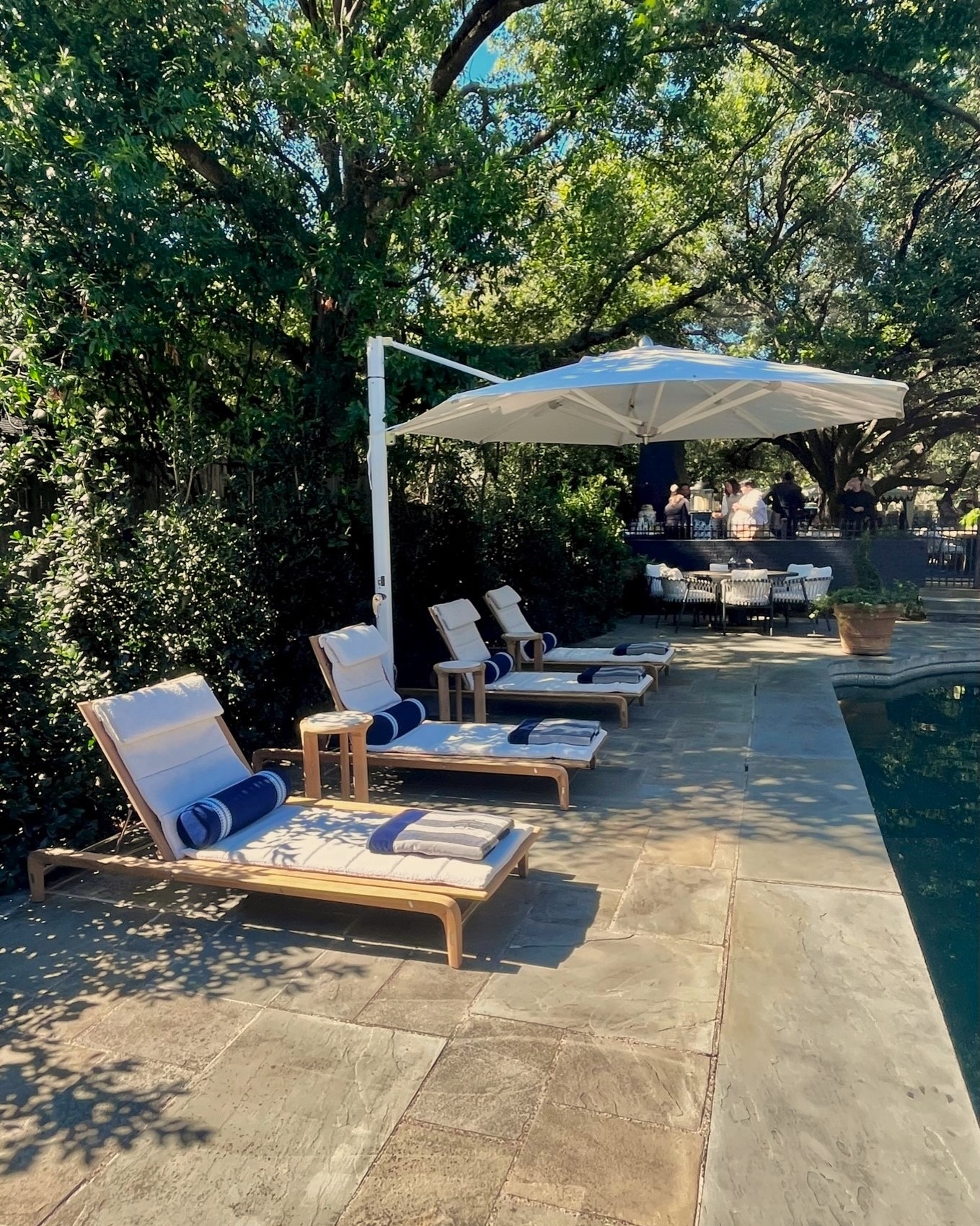 Kips Bay Dallas 2023 Loves Perennials Perennials Fabrics