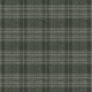 Story Lines Rug in Fearless Green