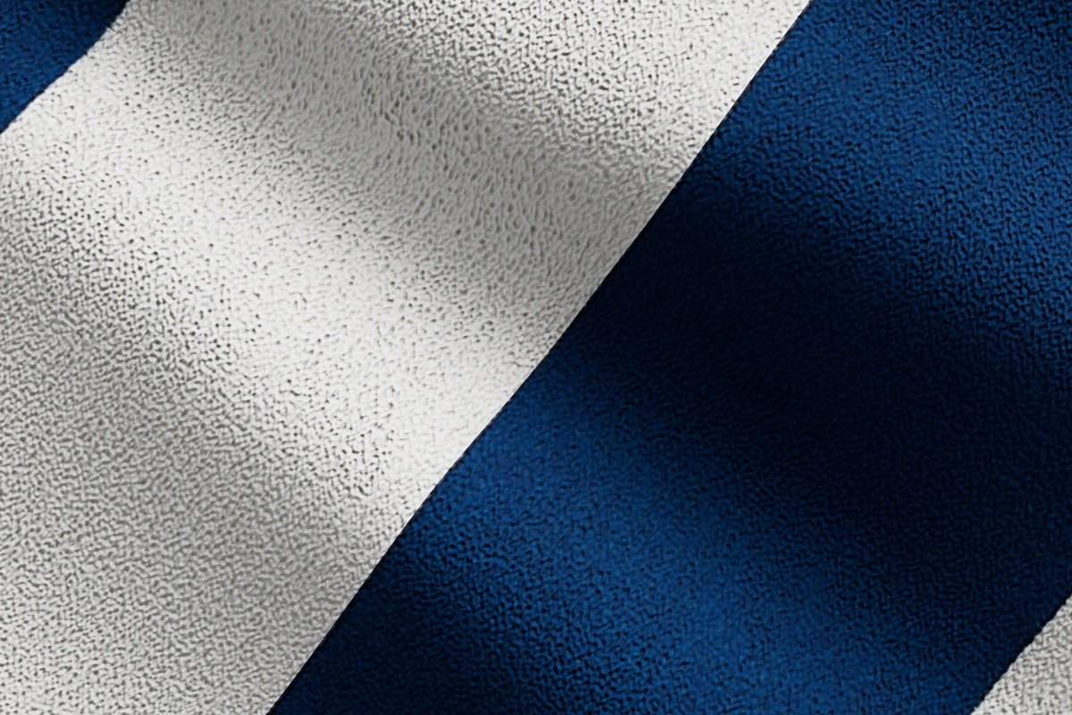 Fabric - Stripe Du Jour