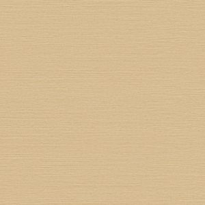 PT102-169-Terrain-Straw_lores