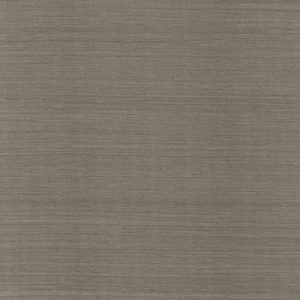 PT102-296-Terrain-Nickel_lores