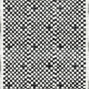 DS415-191 Checked Out Salt and Pepper 9'X12' (Visualization)