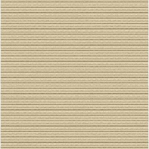 FW260-483 Passer Camel_web