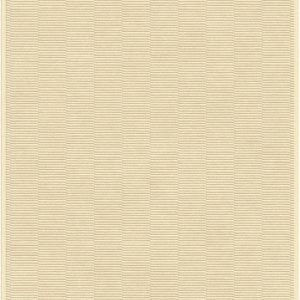 HT700-483 Lignes Camel_web