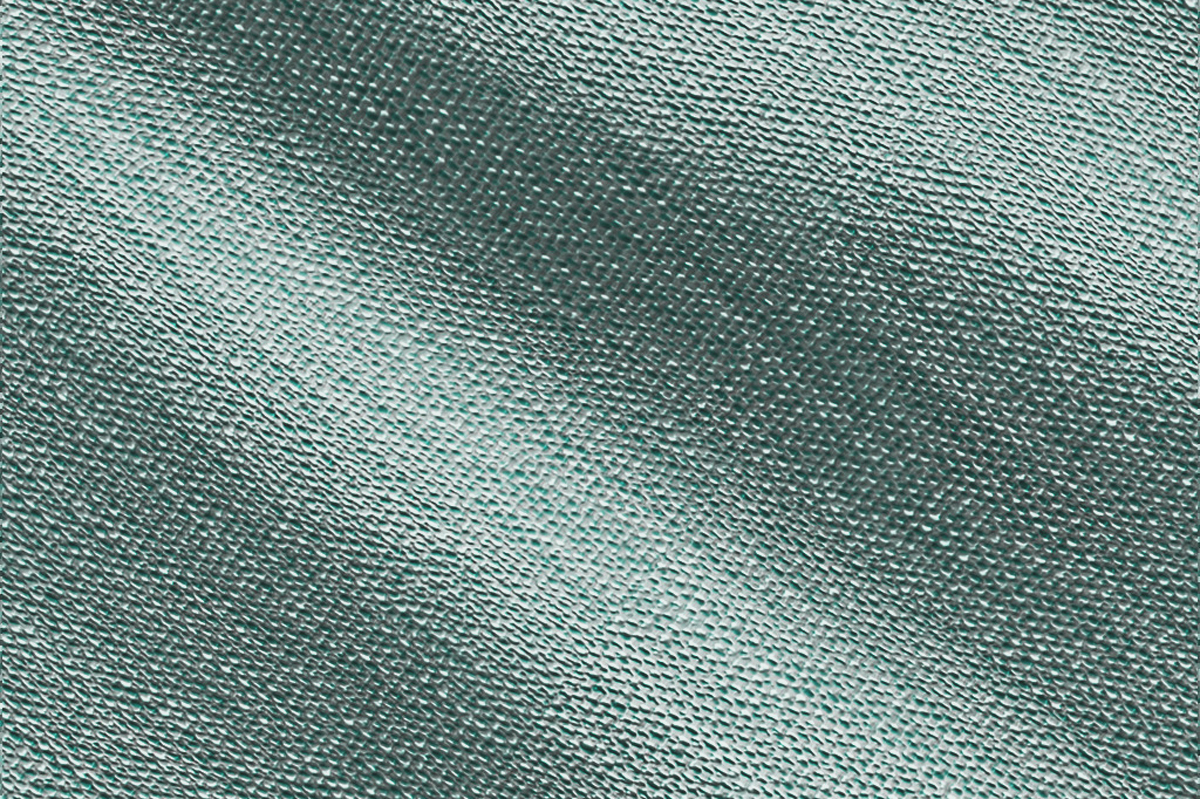 Whippersnapper / Sea Foam