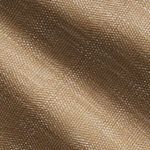 Whippersnapper / Camel