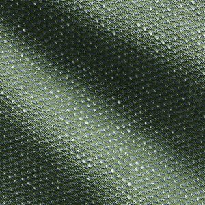 Farfalla / Blue Spruce