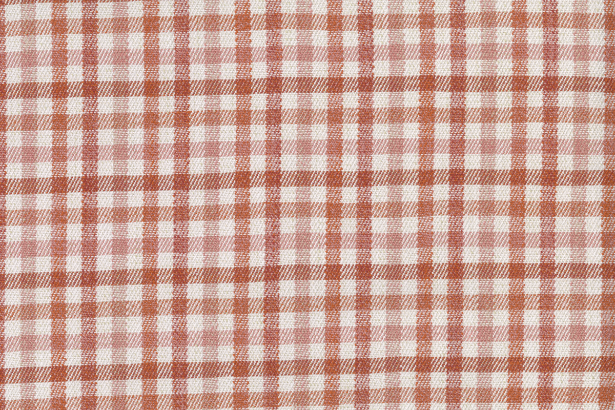 Nonna / Roma Flat Scan