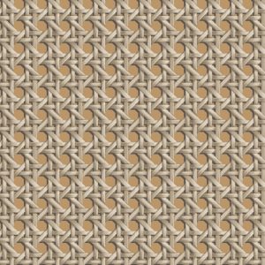 Cane Reaction Wallcovering in Camel