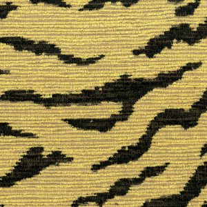Wild Bengal in Golden