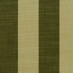 Garden Stripe Fabric in Fern