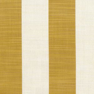 Garden Stripe Fabric in Golden