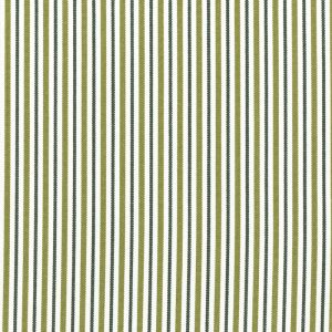 Oxford Stripe Fabric in Fern