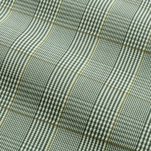 Tailored Check in Grass