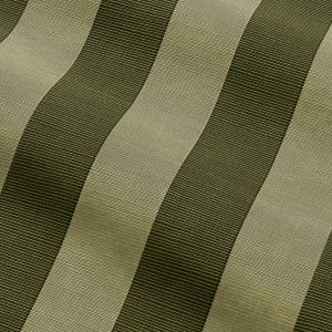 Garden Stripe in Fern