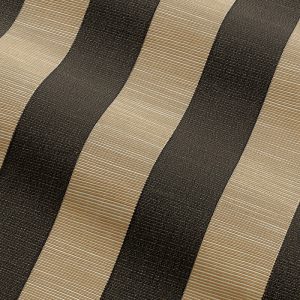 Garden Stripe in Black & Tan