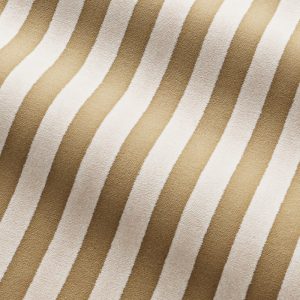 Club Stripe in Butterscotch