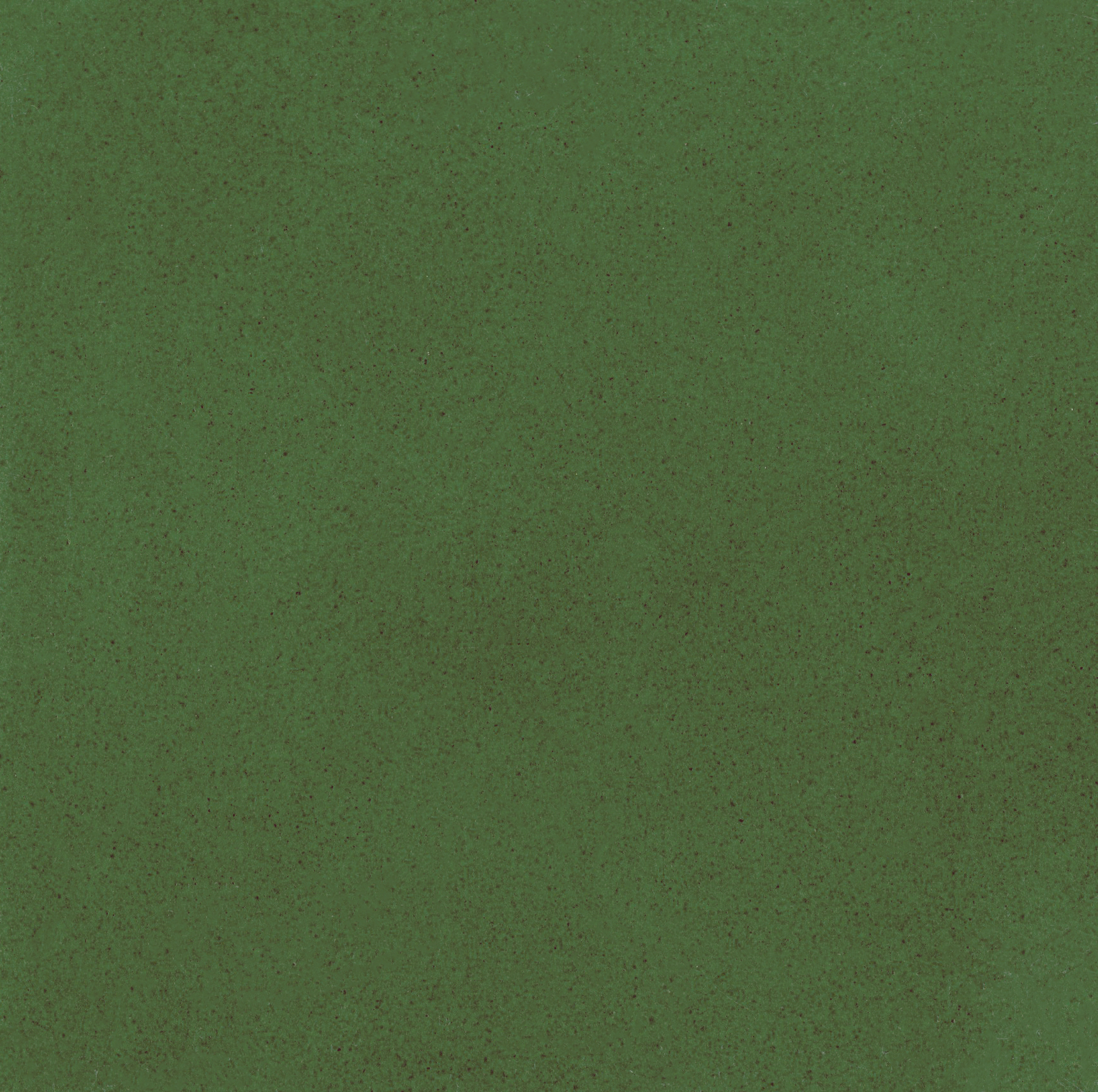 Fern