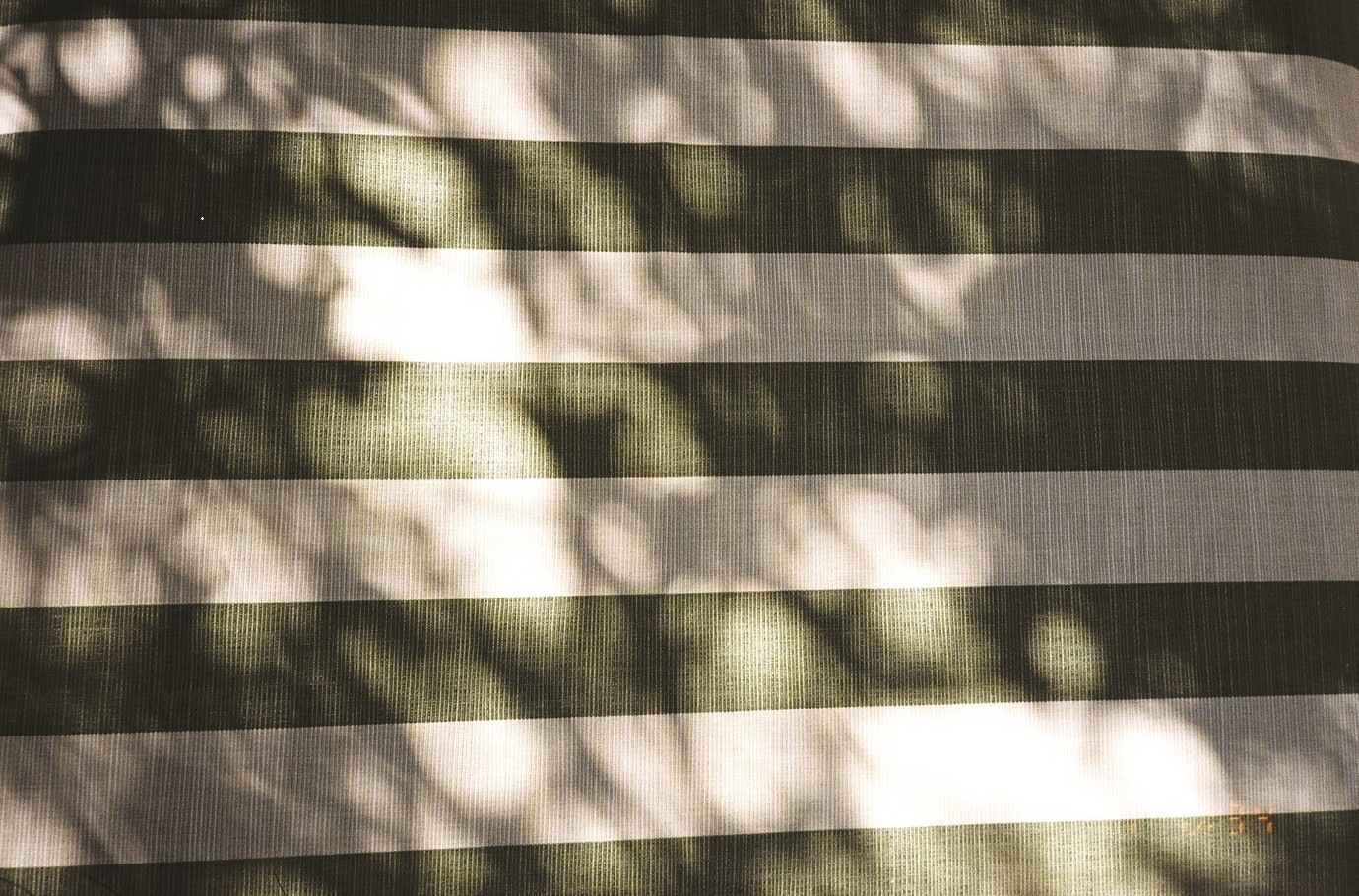 Garden Stripe